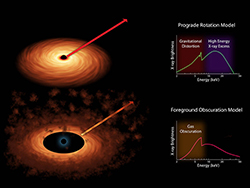 Two Models of Black Hole Spin