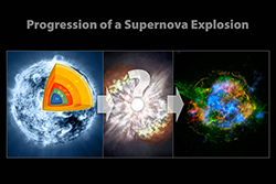 Evolution of a Supernova