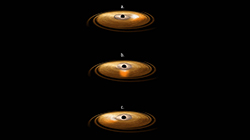 Black Hole with 'Wobbling' Disk
