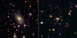 Monster in the Middle: Brightest Cluster Galaxy