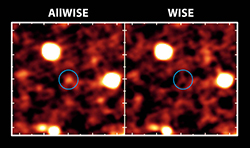 AllWISE Brings Galaxies Out of Hiding