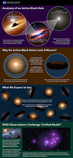 Unified, or 'Doughnut,' Theory of Active, Black Holes